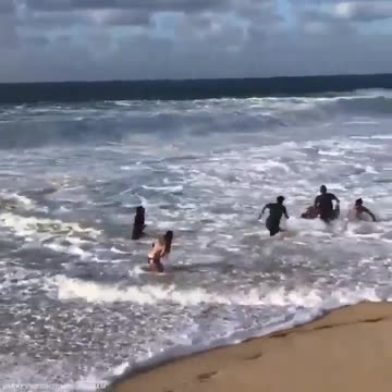 Is this the toxic masculinity they keep talking about?