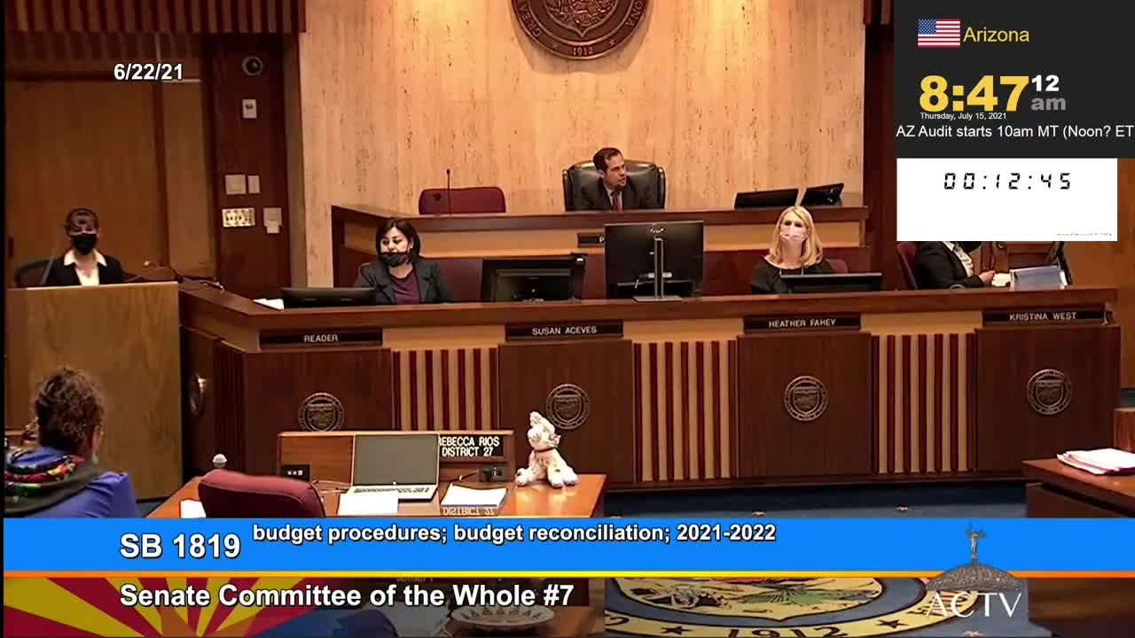 7/15/2021 Live AZ Senate hearing on election audit