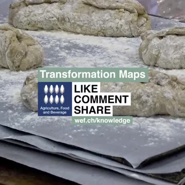 World Economic Forum: Finland Has Made Bread With Crushed Insects