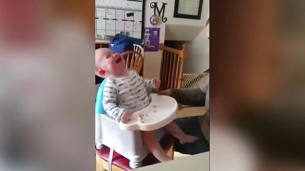 Funny baby vines compilation-Try not to laugh impossible challenge hardest version ever