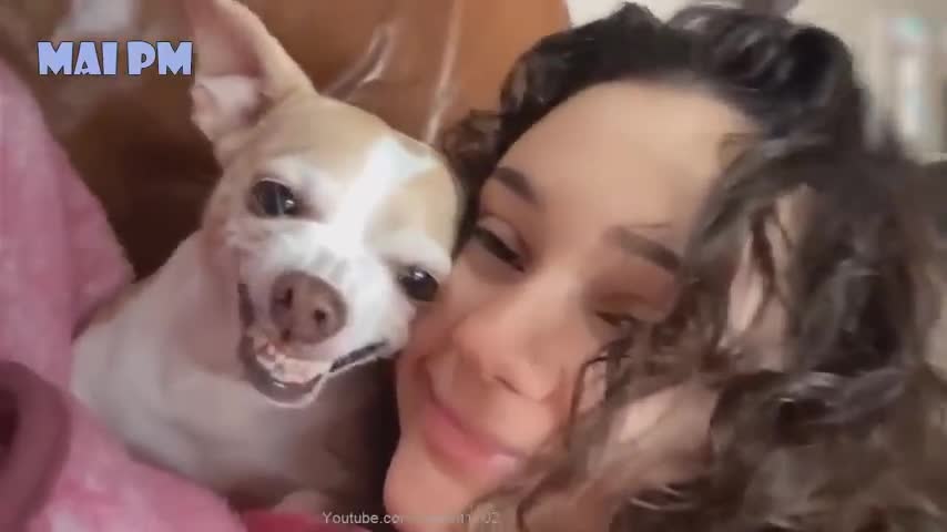 🤣Funny Dog Videos 2020🤣 🐶 It's time to LAUGH with Dog's life