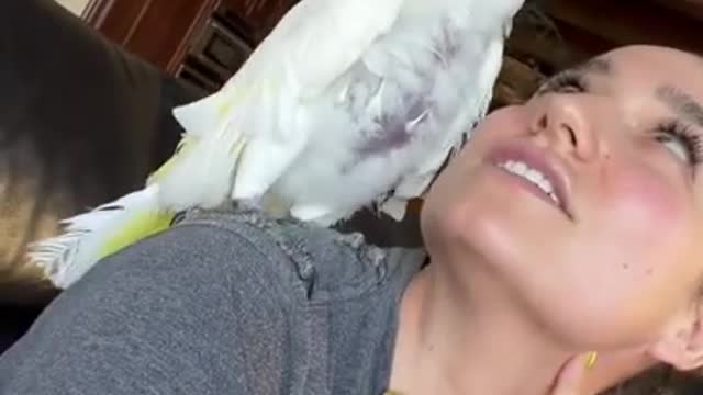 Bark at your dog challenge cockatoo funny