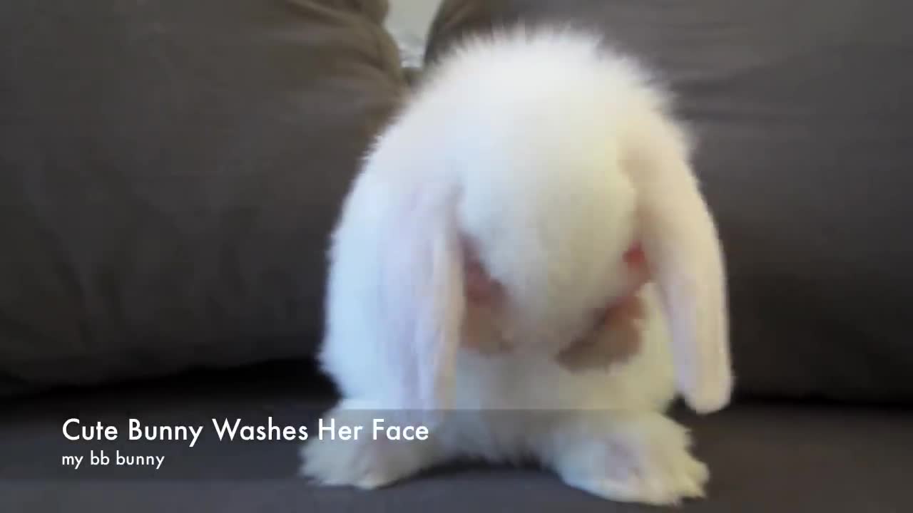 Cute Baby Washing Her Face