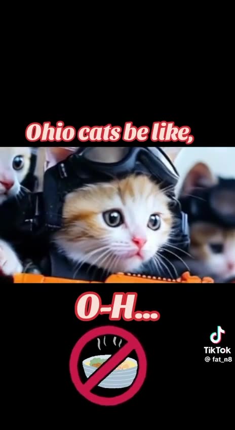 Ohio Cats