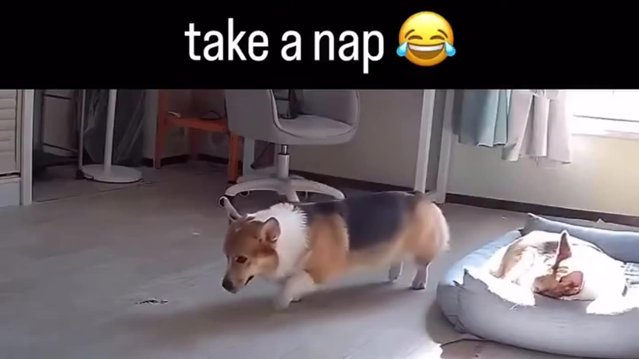 Moving From Nap To Nap