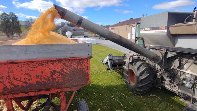 Combine loading gravity wagon