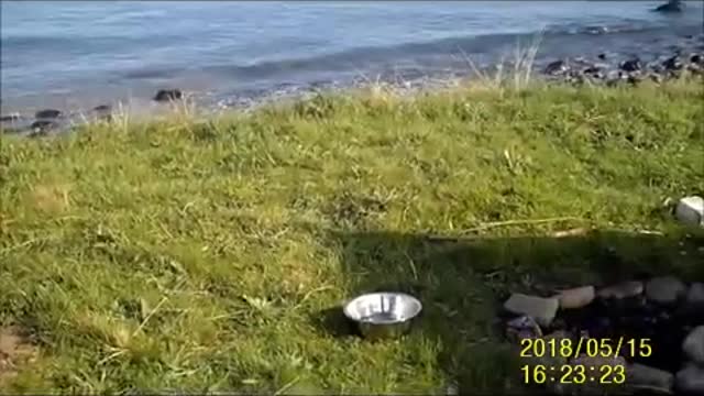 Paupers Peregrination, Wild camp at Druridge Bay