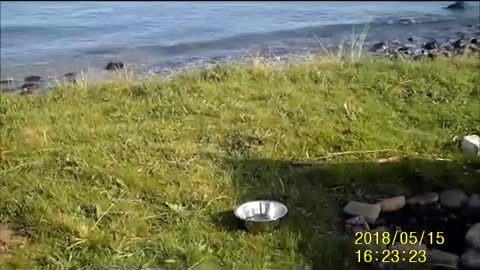 Paupers Peregrination, Wild camp at Druridge Bay