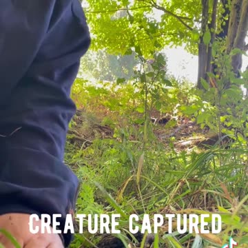 This guy has balls of steel..Dogmen on his land and around his house.