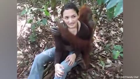 50 Symphonies of Love: When Animals Show Affection to Humans