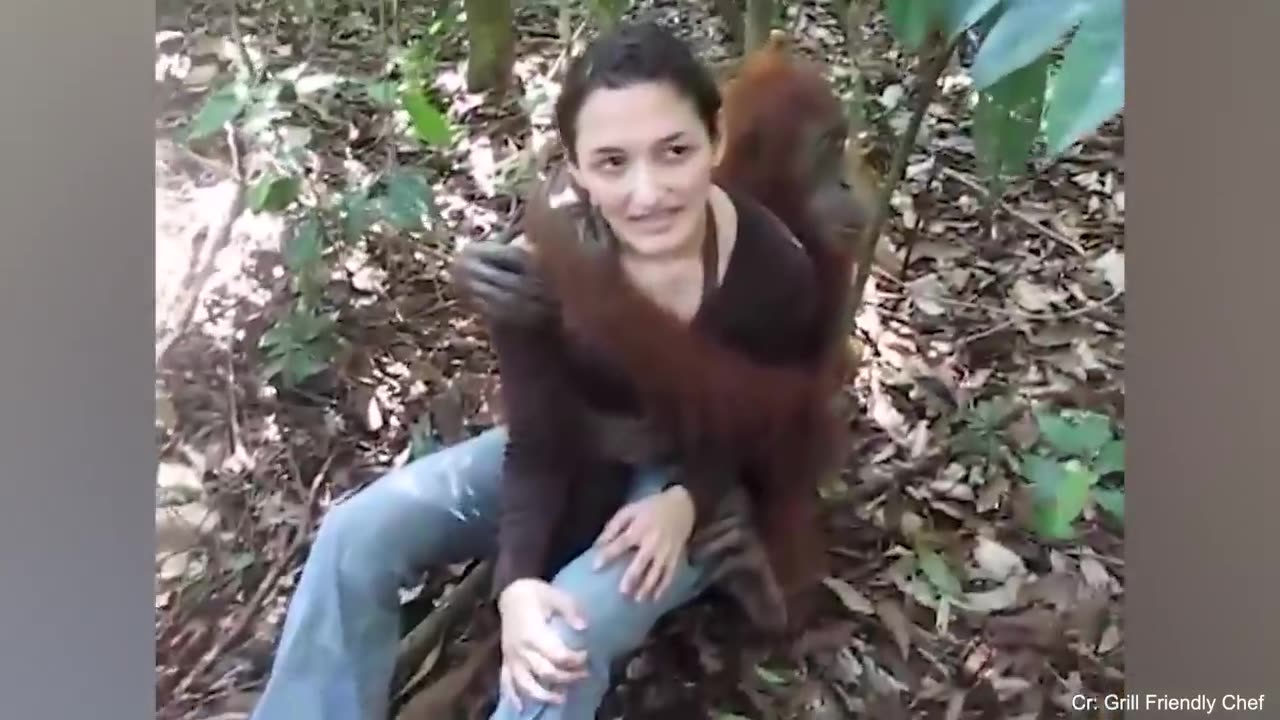 50 Symphonies of Love: When Animals Show Affection to Humans
