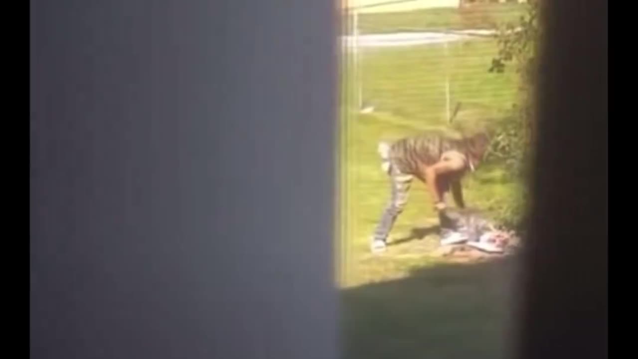 Haitian Invader Caught on Camera Carving Up Animal With Machete in Springfield, Ohio