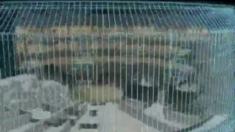 Tulou Tulou Tulou