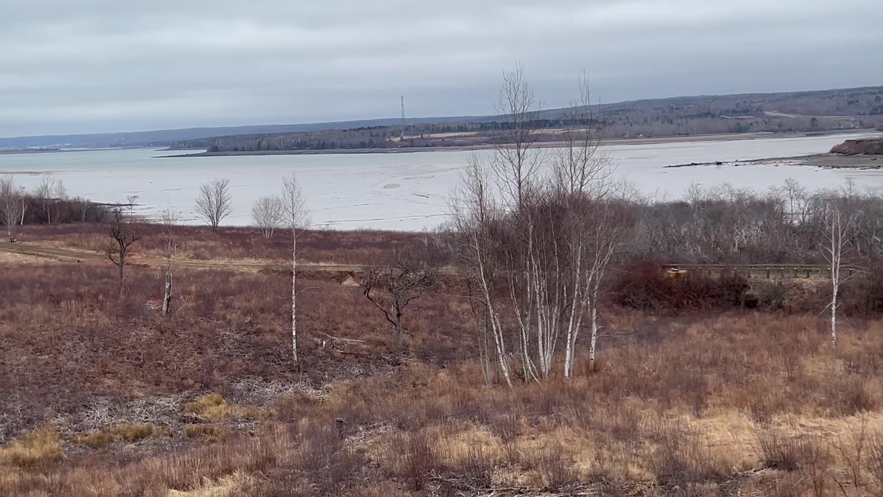 Early Spring In Digby NS