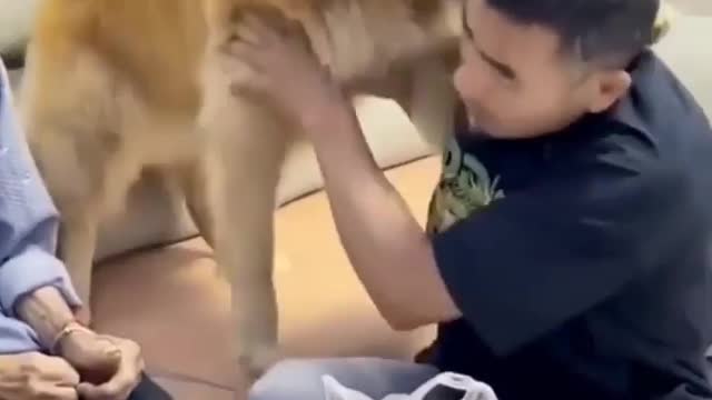 Tears welled up in my eyes seeing the love between the dog and the owner