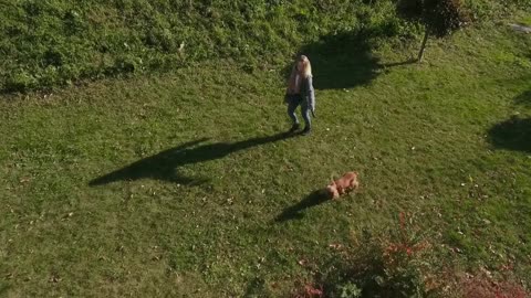 Girl in dog have a good time outdoors