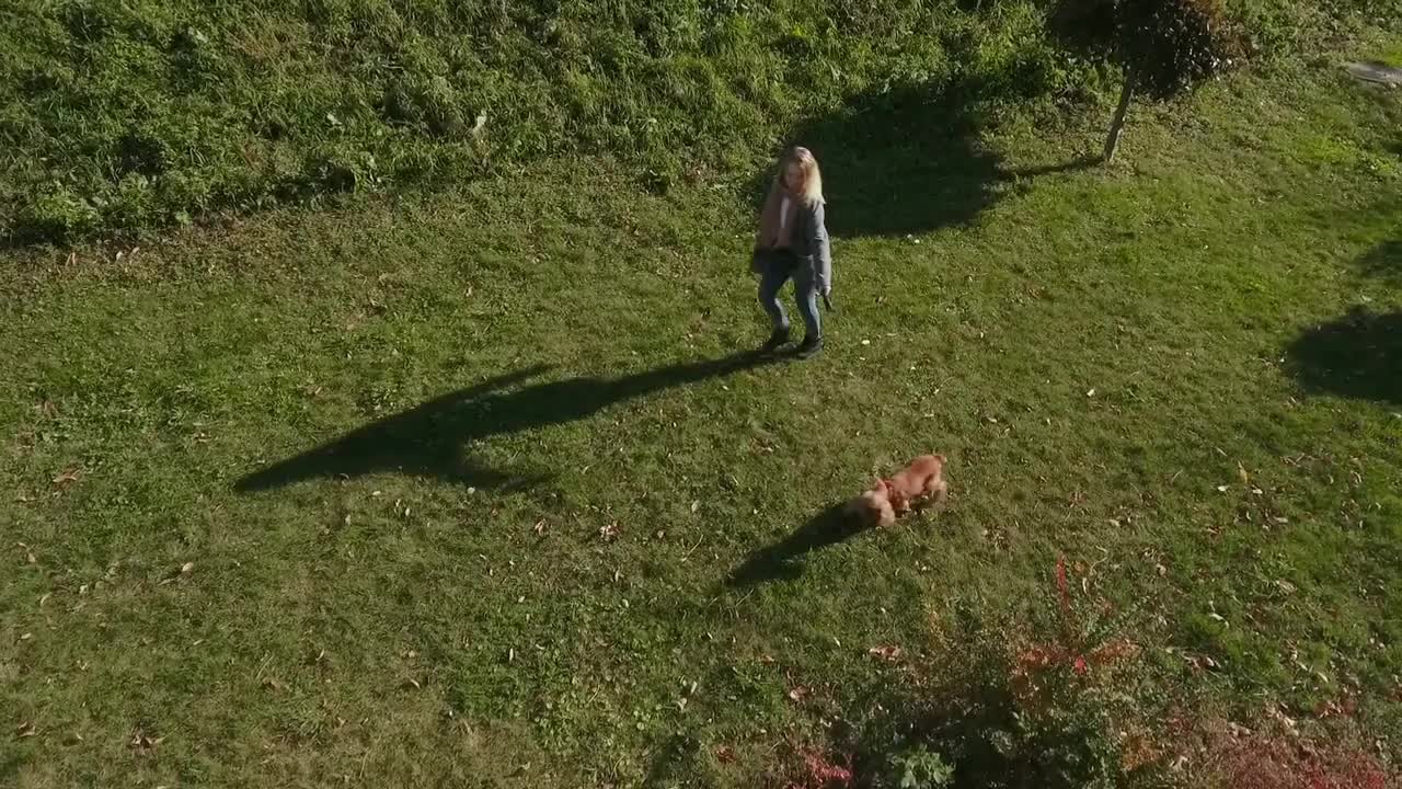 Girl in dog have a good time outdoors
