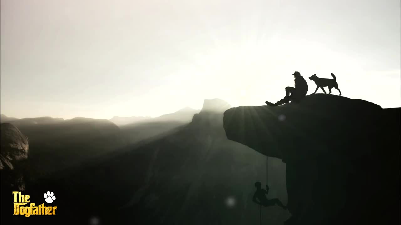 Amazing music to put your dog to sleep