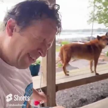 swimming in the rain with the dog