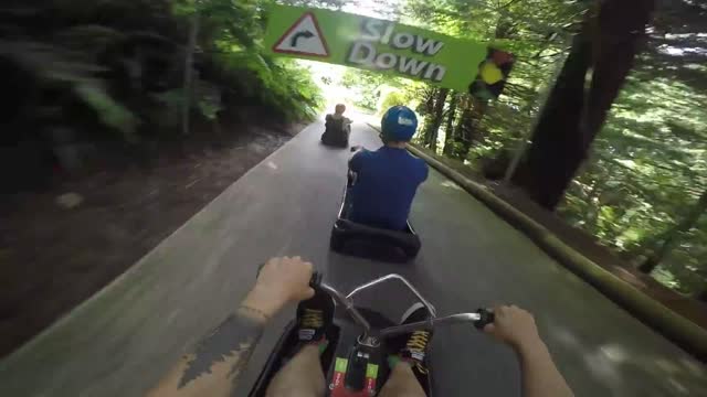 Rotorua high speed luge race!