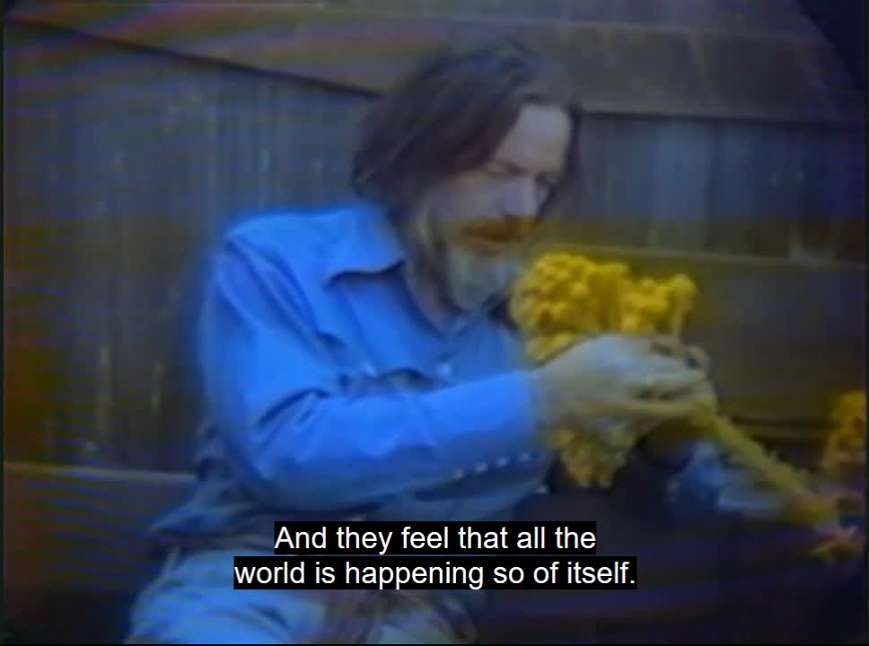 Alan Watts - The Essential Lectures - Work and Play - 7