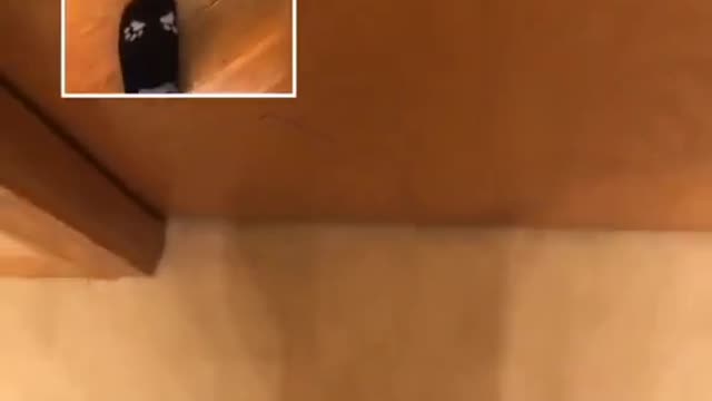 Man brutally kicks his foot against door