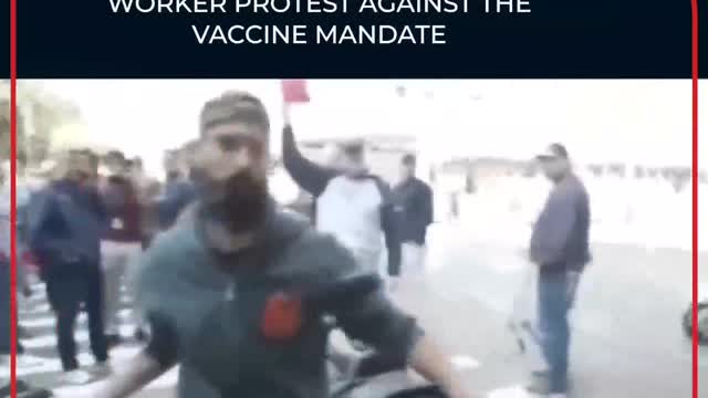 התושבים מגיבים לדיקטטורה של מושל ניו יורק