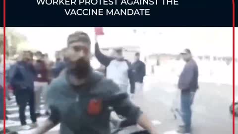 התושבים מגיבים לדיקטטורה של מושל ניו יורק