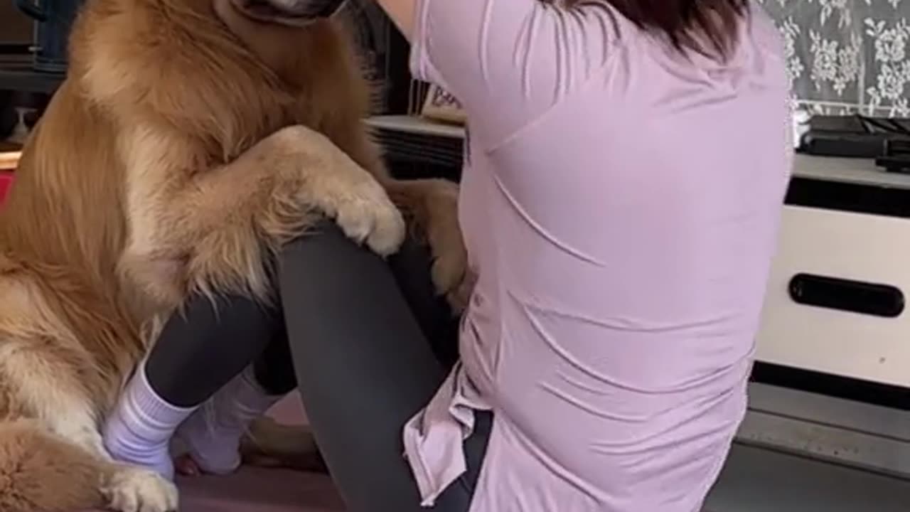 Even dogs can do fitness exercise
