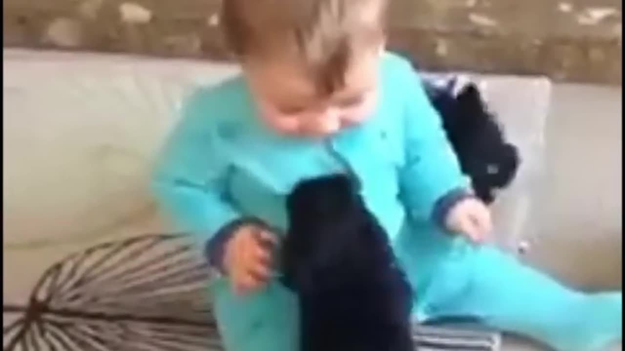 Baby playing with cute puppy