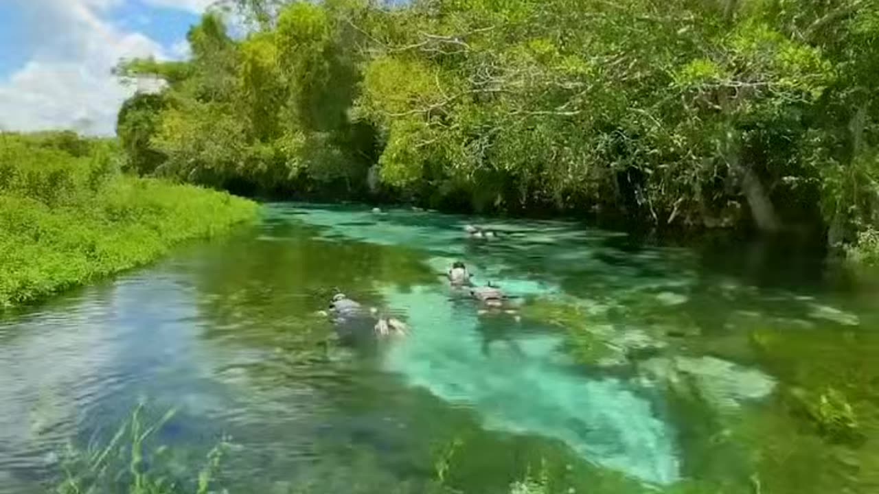 a fabulous river, all green