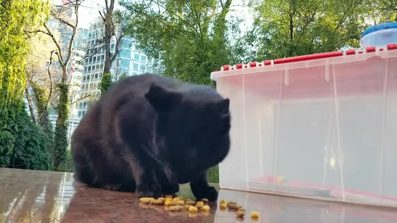 20240428 070818 Tux Crunching