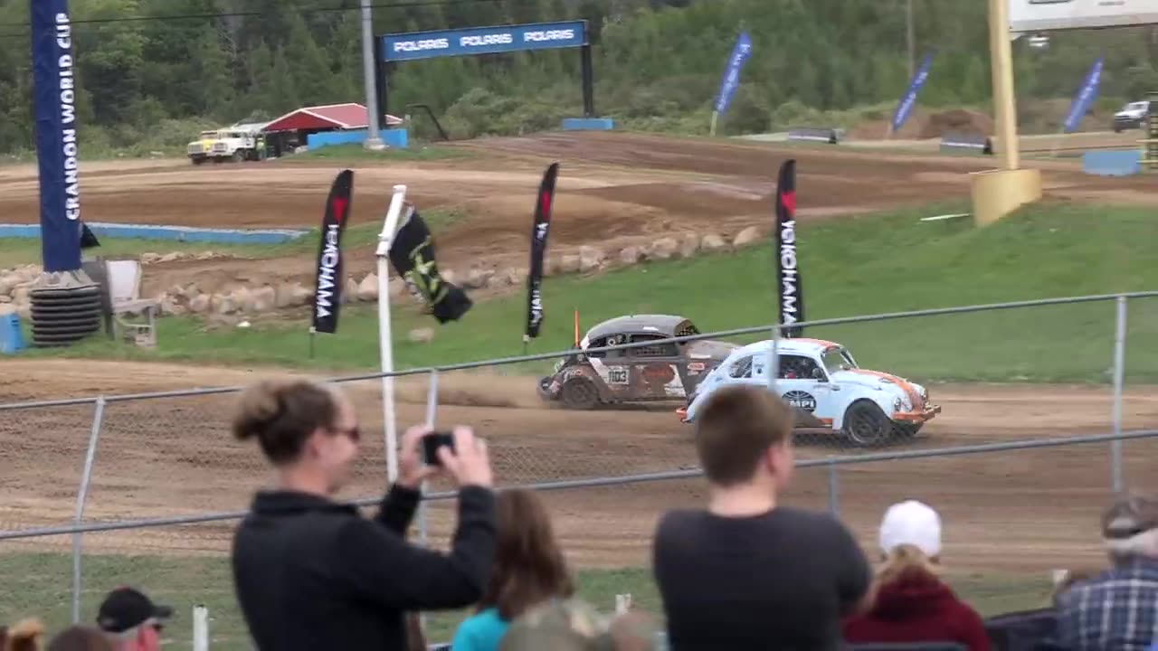 Beetle Crazy Cup in real life