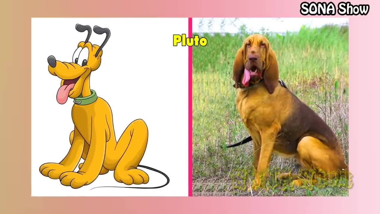 🐶 Dogs Cartoon IN REAL LIFE 💥 All Characters