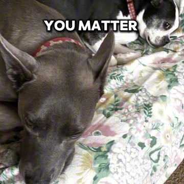 You matter