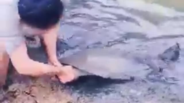 Best asian fishing_ Amazing rural fishing video