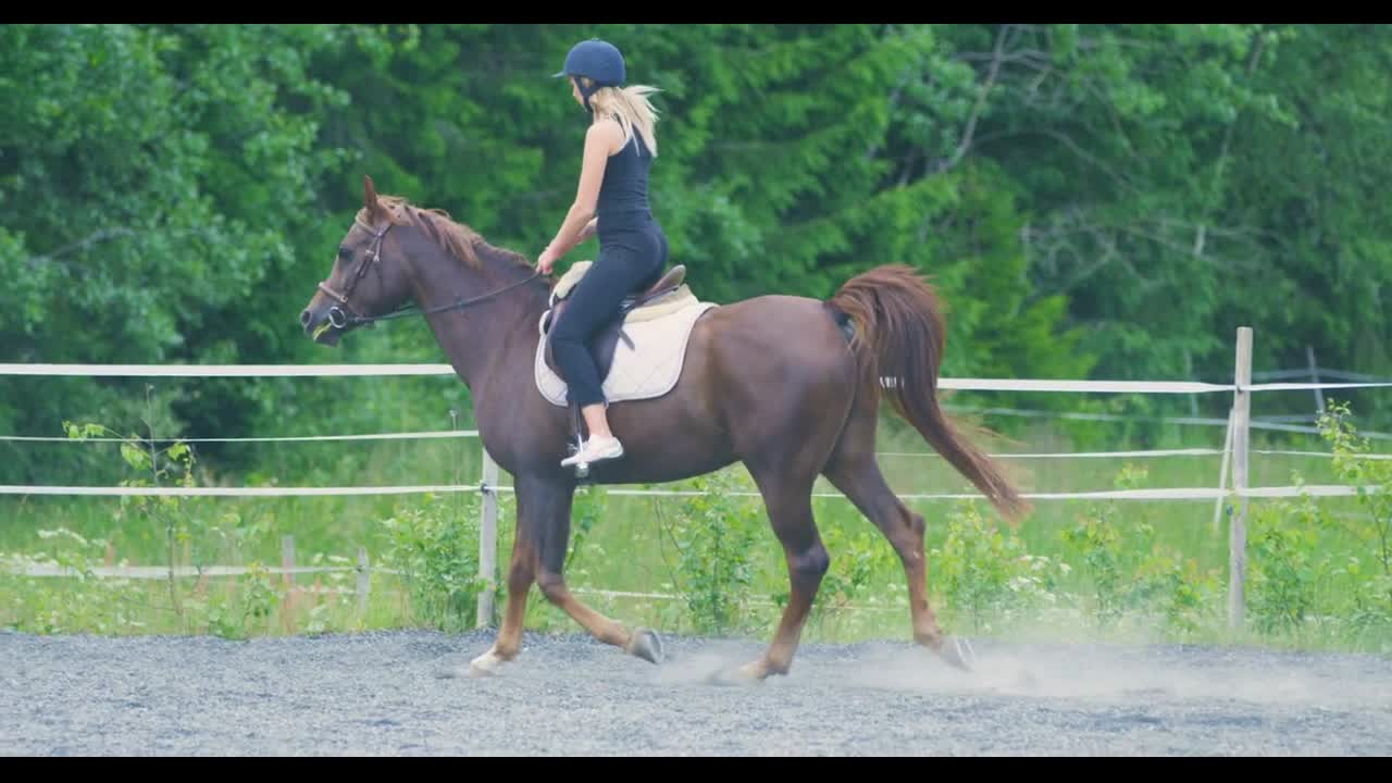 Beautiful young woman riding her arabian horse at farm