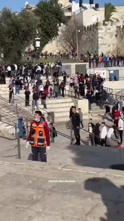 6/11/23 - Israeli Police Brutally Assault And Arrest a 12-Year-Old Palestinian Girl in Jerusalem