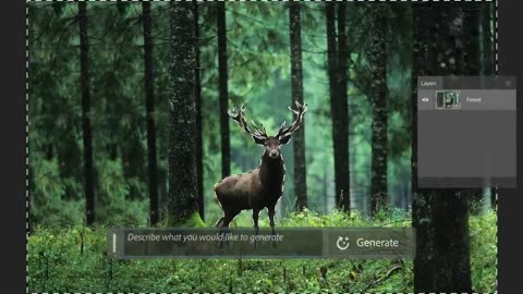 Adobe just added their first Generative AI tool to Photoshop!
