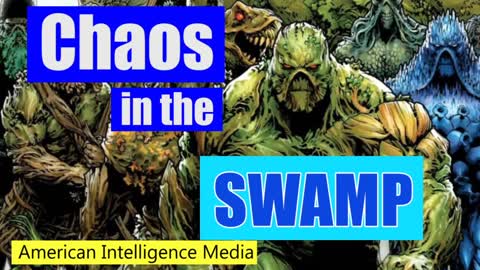 Chaos in the Swamp January 2018