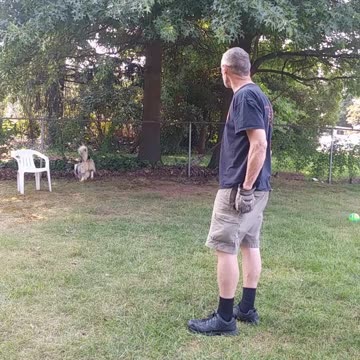 Cable and Squeaky toy play cut 1