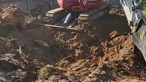 Stump grinding and excavator