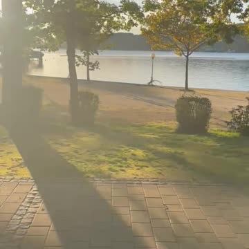 Freedom Cash Geocaching Paper Wallet - Freiheit am Wörthersee