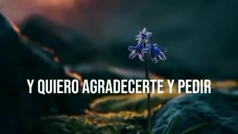 JESUCRISTO GUARDA DE TODA MI FAMILIA Y A MI TODOPODEROSO