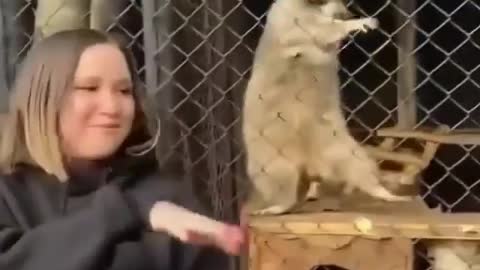 Funny animal