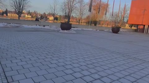 Viral