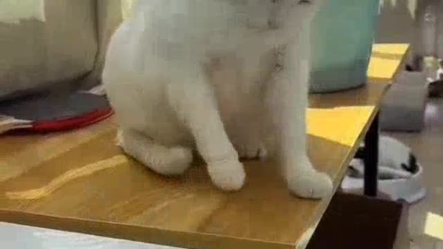 Ball
