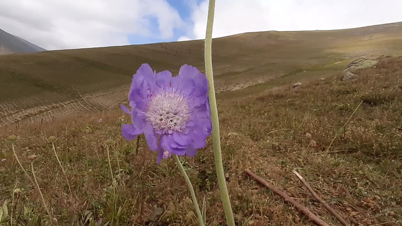 VIEWS FROM THE PLATEAU-60