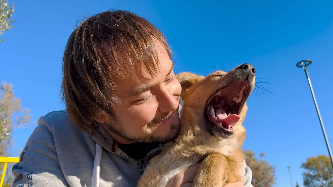 shot of young bearded man hugging and kissing his cute friend brown dog