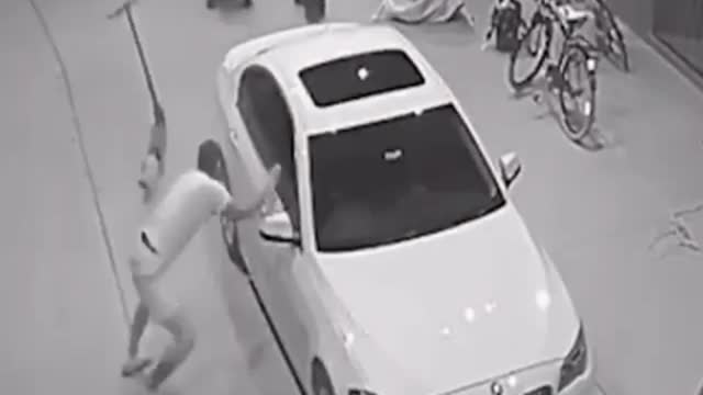 Who is afraid of whom? Funny bear and its cub and a man! Funny videos